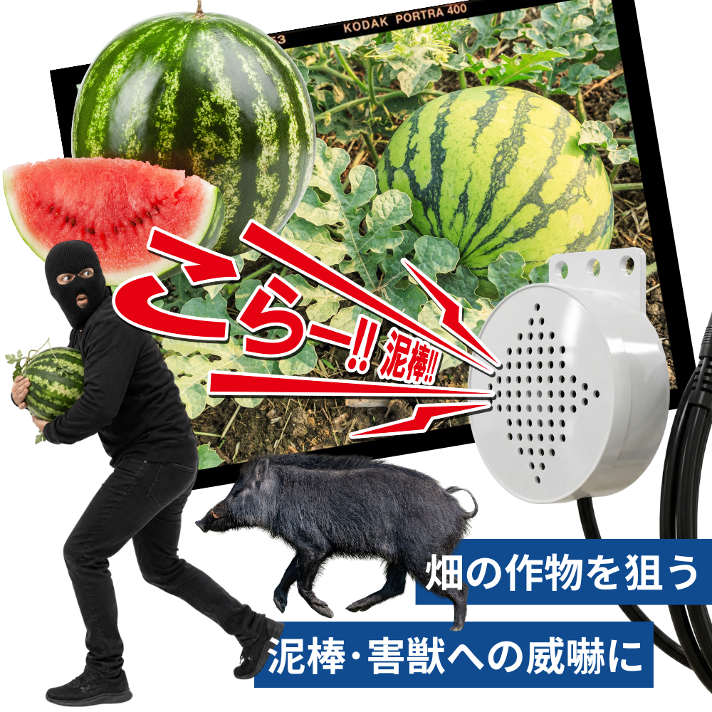 マルチ音声スピーカー