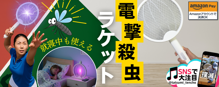電撃殺虫ラケット