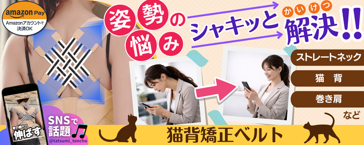 姿勢矯正ベルト