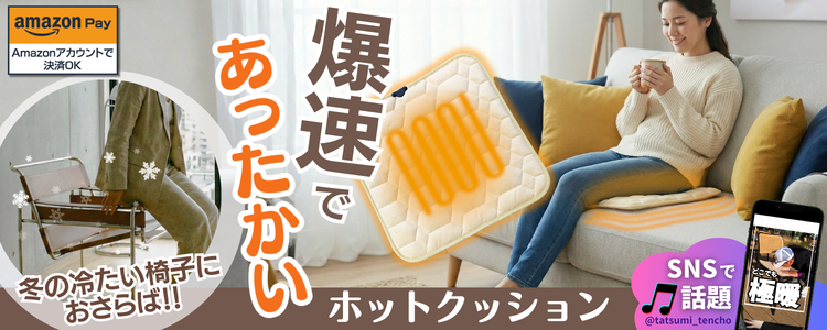 ホットクッション