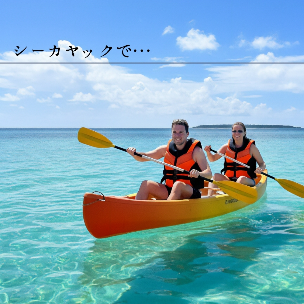 PARVATライフジャケット