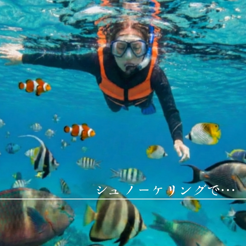 PARVATライフジャケット