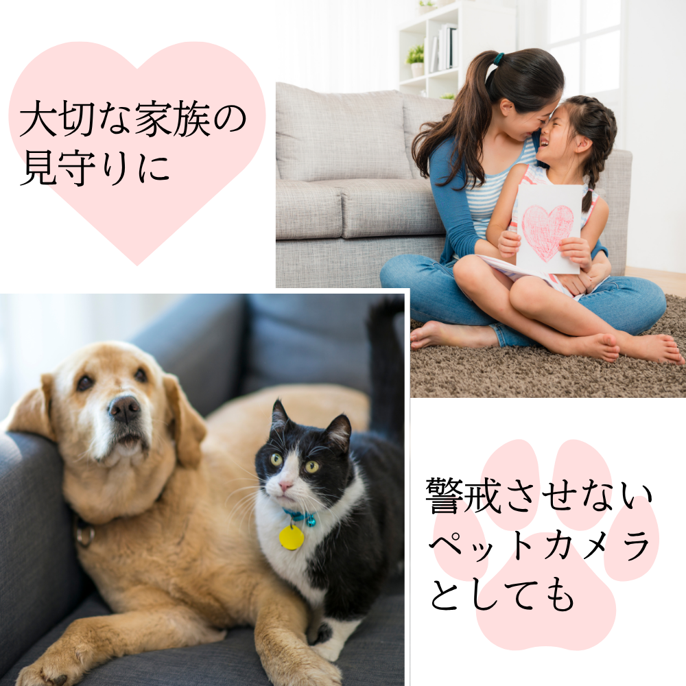 基板型カメラ　M40 エム40