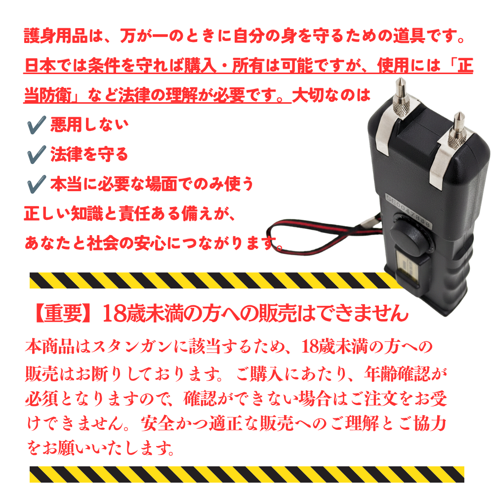 電撃スタンガン　BLACK EAGLE　BE999MS